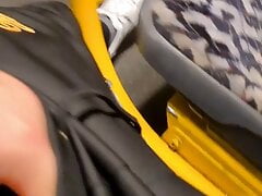 Showing dick in bus