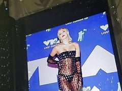 Miley Cyrus Sheer Outfit Tribute