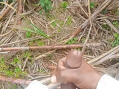 Land urine in sugarcane field hand and job mudhe mare