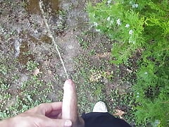 18yo almost caught pissing and jerking at the public park