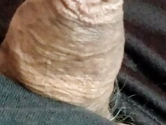 My penis for you