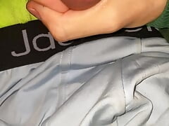 Puppy plays with his dick and cums on himself