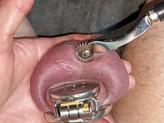 changing my chastity cage