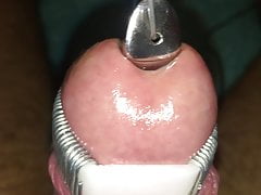 My electro tortured cockhead completely swallows a 13mm rod