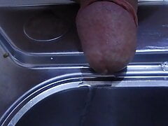 pissing in the sink