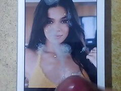 Second Hailee Steinfeld cumtribute