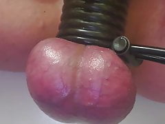Slave penis and electro torture