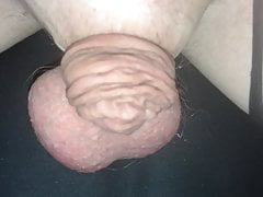 tiny penis