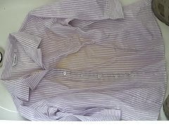pissing on purple striped school blouse