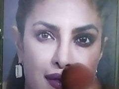 Priyanka Chopra Hollywood Bollywood Actress Hot Cum Tribute