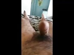 cock video