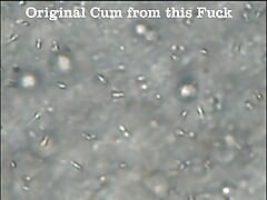 Fleshlight Fuck Masturbation and Sperm under the Microscope
