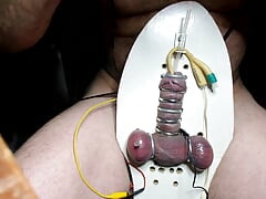 Electro strapped to board needles in testes
