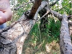 I cum on a tree in the forest