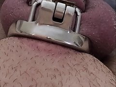 3rd Day of 7 in chastity