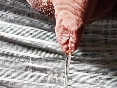 Close-up foreskin peeing slowmo