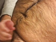 Bear shoots massive load on hairy belly