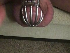 Playing with Cock in Tiny Cage