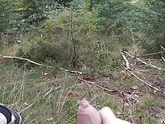 this is how I played while walking in the woods