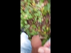 jerk off lonely in the forest