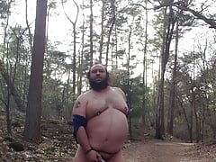 Chubby bear in the woods