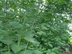 Walking Around Naked in the Woods  - My Cock and Balls Bouncing Around Outdoors