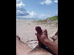 beach clips