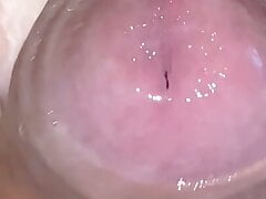 messy and wet with thick cum