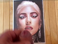 Lady Gaga Tribute