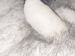 Young hairy uncut dick
